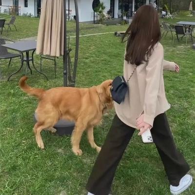 致命录像带